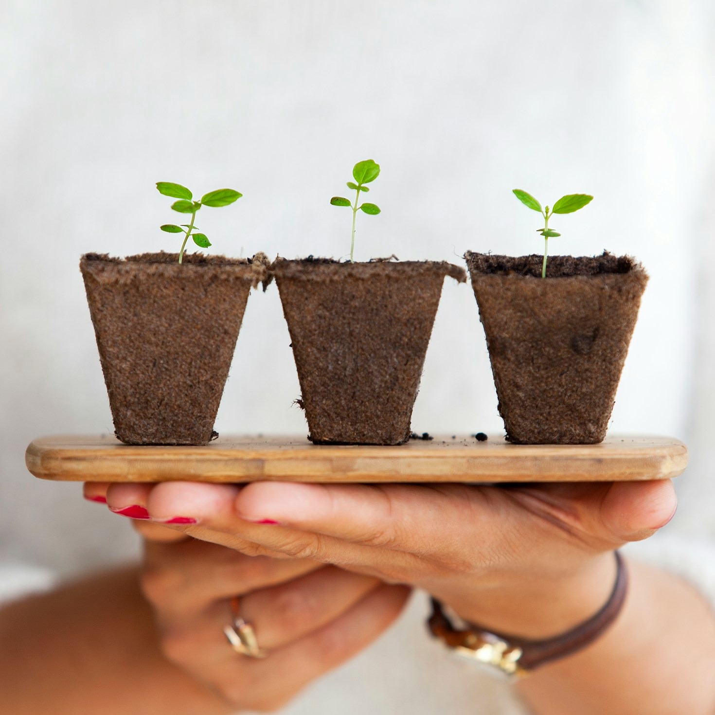 The Role of Nutrition in Achieving a Balanced Life